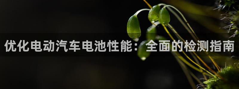 优发国际官网下载安装app