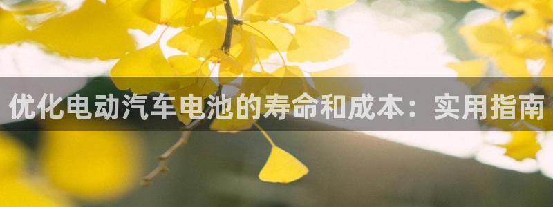 优发国际是什么