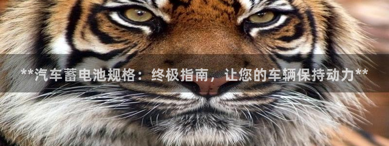 优发国际手机版客户端下载安装
