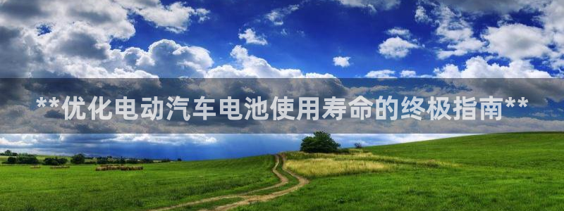 优发国际是大平台吗还是小平