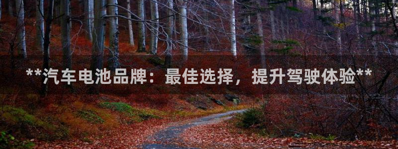 优发国际的网站是