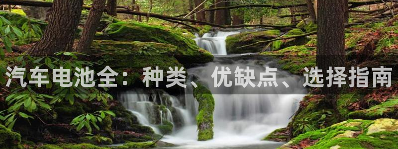 优发国际官网手机版下载