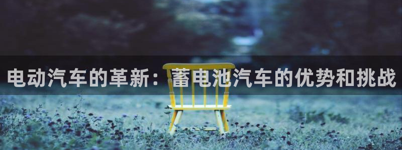 优发国际平台g80