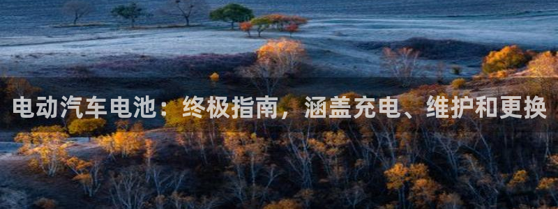 优发国际首页app
