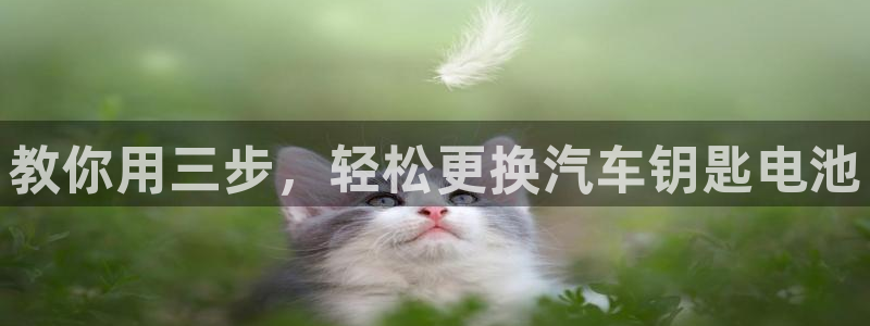 优发国际的官网是