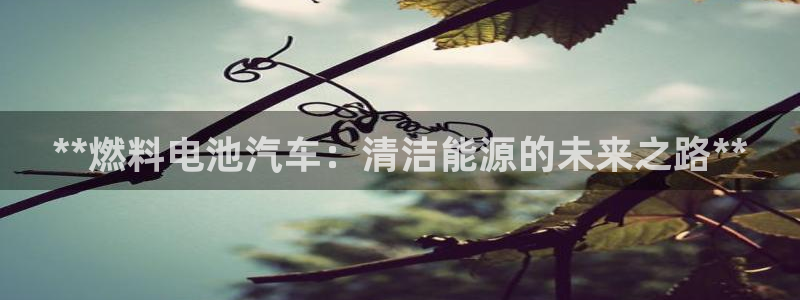 优发国际集团股份有限公司是国企吗