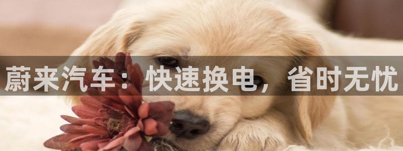 优发娱乐官网地址