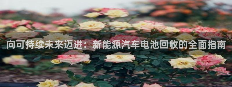 优发国际手机版唯一官网：向可持续未来迈进：新能源汽车电池回收的全面指南