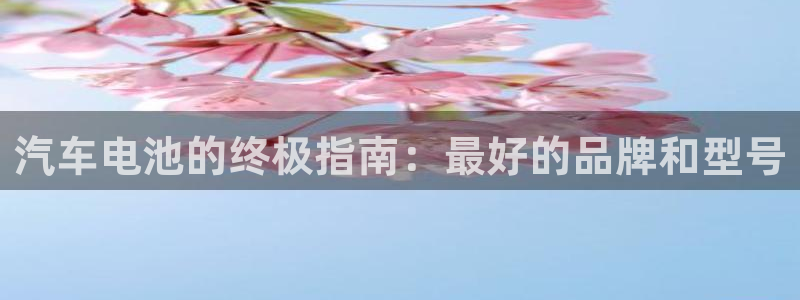 优发国际官方网手机版下载：汽车电池的终极指南：最好的品牌和型号