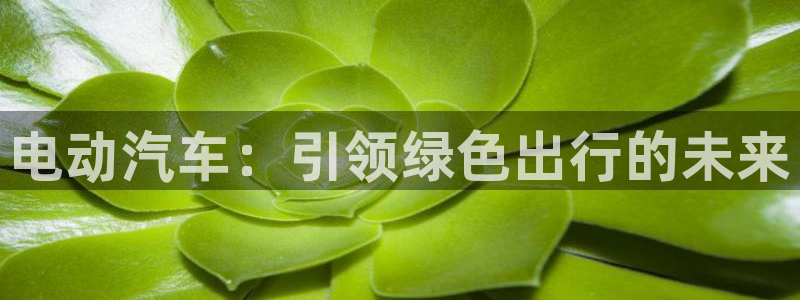 优发国际手机版客户端下载安装