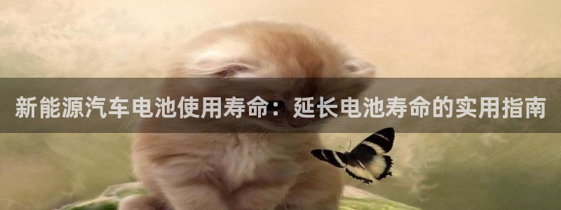 优发国际是不是黑网：新能源汽车电池使用寿命：延长电池寿命的实用指南
