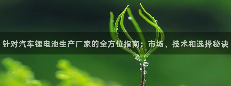 优发国际手机app下载安装最新版
