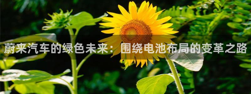 优发国际网官网17q8