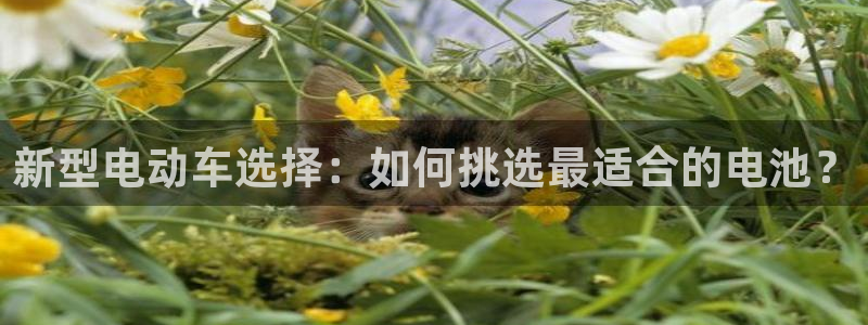 优发国际官方网