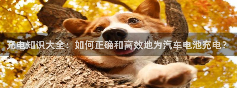 优发国际VIP网址：充电知识大全：如何正确和高效地为汽车电池充电？