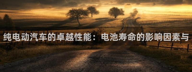 优发国际登录r8：纯电动汽车的卓越性能：电池寿命的影响因素与