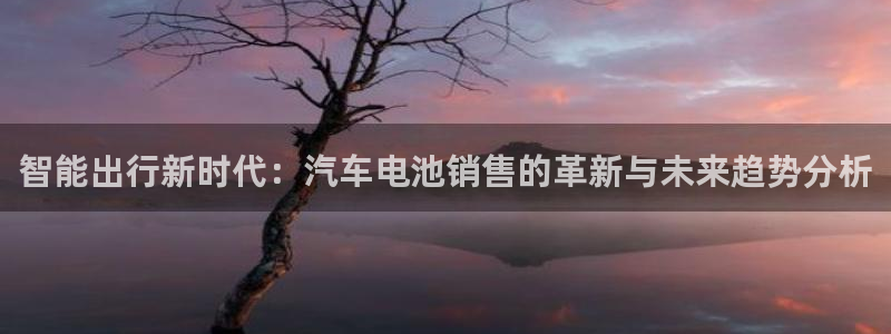优发国际手机安装登录失败：智能出行新时代：汽车电池销售的革新与未来趋势分析