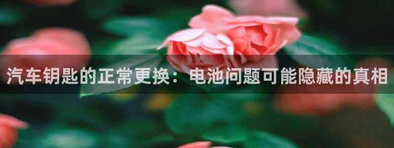优发国际bob：汽车钥匙的正常更换：电池问题可能隐藏的真相