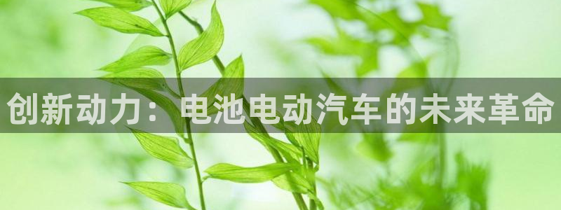优发国际首页首页登录：创新动力：电池电动汽车的未来革命