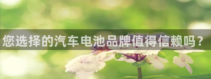 优发国际合并到哪里了：您选择的汽车电池品牌值得信赖吗？