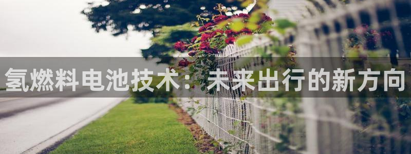 优发国际在哪里下载：氢燃料电池技术：未来出行的新方向