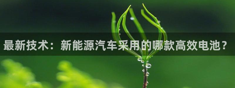 优发国际登陆：最新技术：新能源汽车采用的哪款高效电池？
