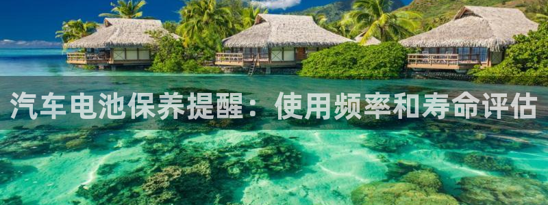优发国际手机app下载安装官网：汽车电池保养提醒：使用频率和寿命评估
