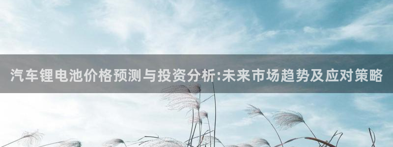 优发国际平台u8怎么样：汽车锂电池价格预测与投资分析:未来市场趋势及应对策略