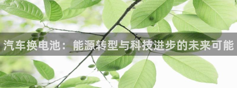 优发国际集团股份有限公司官网：汽车换电池：能源转型与科技进步的未来可能