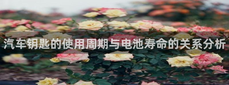 优发国际怎么样：汽车钥匙的使用周期与电池寿命的关系分析