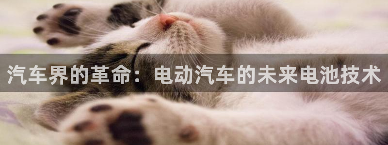 优发国际手机客户端app：汽车界的革命：电动汽车的未来电池技术