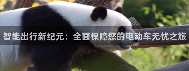 优发国际官网,首页：智能出行新纪元：全面保障您的电动车无忧之旅