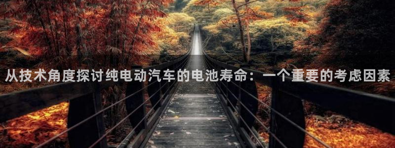 优发国际手机app下载安装官网：从技术角度探讨纯电动汽车的电池寿命：一个重要的考虑因素