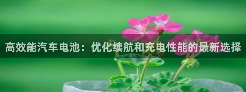 优发国际平台g80：高效能汽车电池：优化续航和充电性能的最新选择