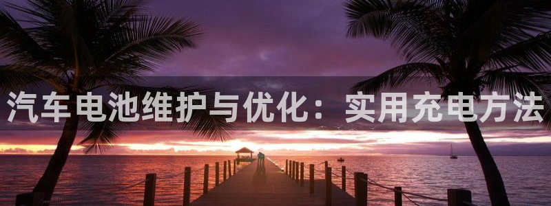 优发国际手机客户端下载安装手机版：汽车电池维护与优化：实用充电方法