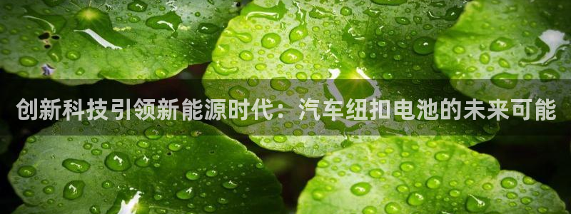 优发国际手机app下载安装：创新科技引领新能源时代：汽车纽扣电池的未来可能