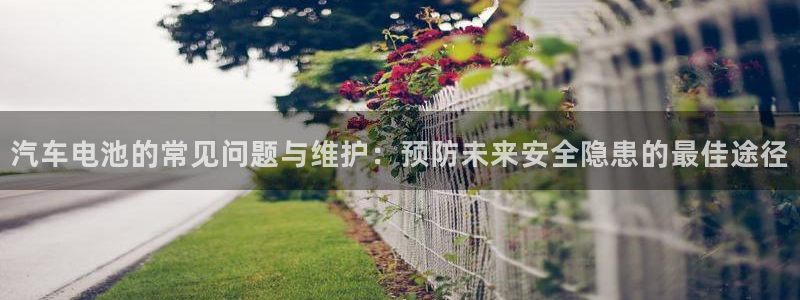 优发国际app官网下载安装苹果：汽车电池