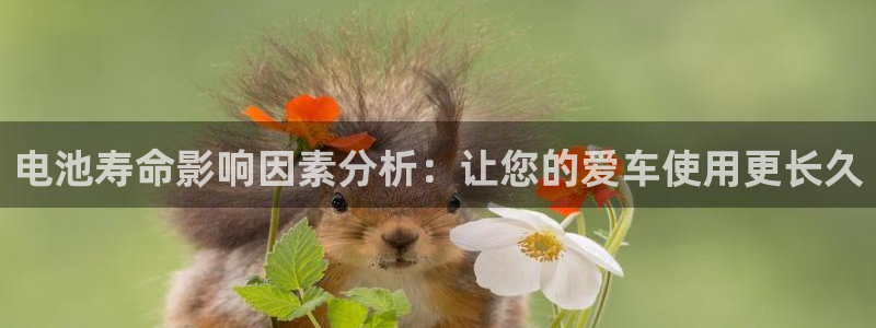 优发国际手机版下载安装：电池寿命影响因素分析：让您的爱车使用更长久