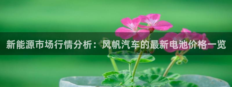 优发国际官网入口app下载安装