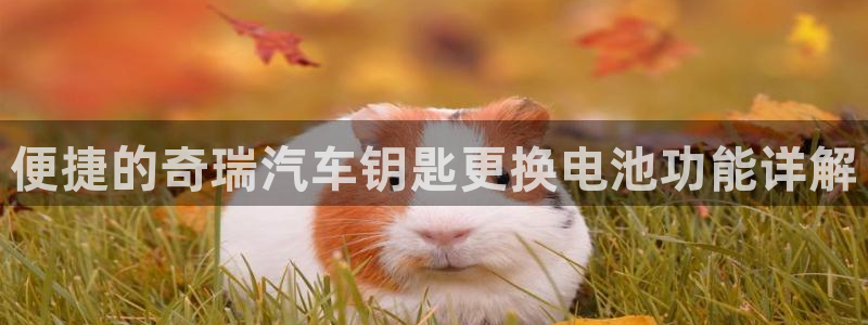 优发国际手机app下载安装苹果