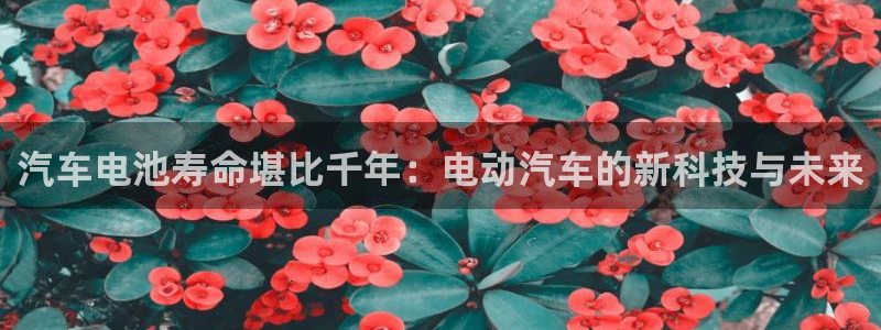 优发国际安卓版下载安装教程：汽车电池寿命堪比千年：电动汽车的新科技与未来