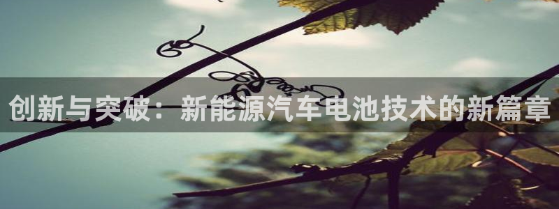 优发国际集团股份有限公司是国企吗
