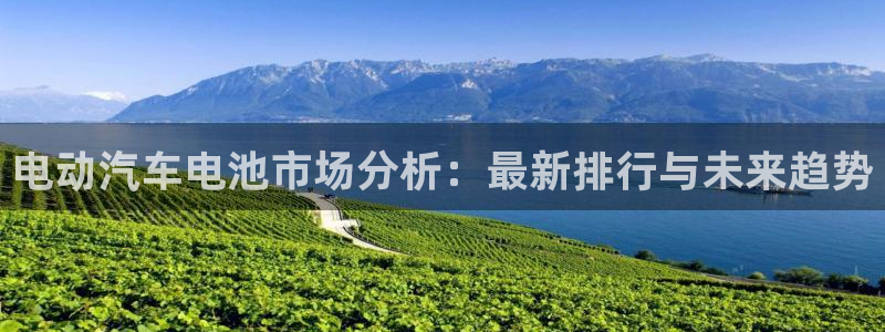 优发国际游戏网站：电动汽车电池市场分析：最新排行与未来趋势