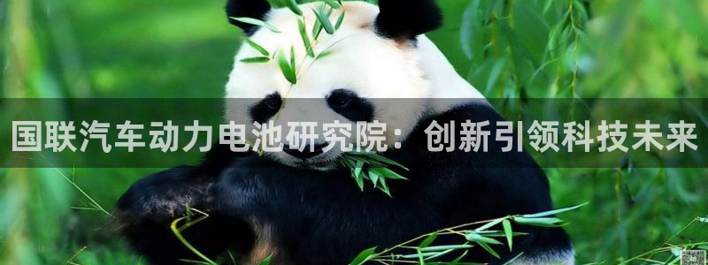 优发国际手机客户端下载不了：国联汽车动力电池研究院：创新引领科技未来