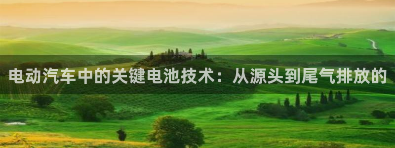 优发国际官方网手机版下载安卓：电动汽车中的关键电池技术：从源头到尾气排放的