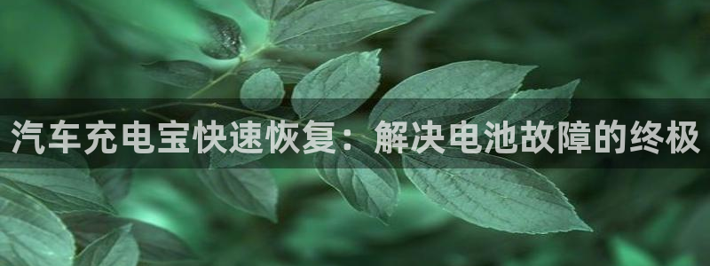优发国际官网下载安装苹果：汽车充电宝快速恢复：解决电池故障的终极