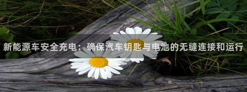 优发国际线上娱官网：新能源车安全充电：确保汽车钥匙与电池的无缝连接和运行