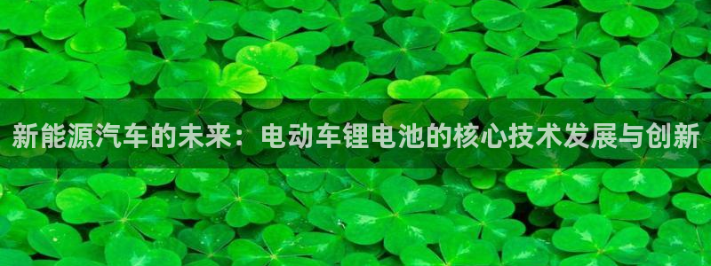 优发国际是不是黑网：新能源汽车的未来：电动车锂电池的核心技术发展与创新