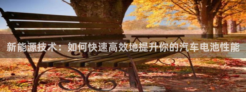 优发国际游戏：新能源技术：如何快速高效地提升你的汽车电池性能