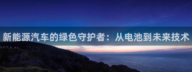 优发国际游戏17岁能玩吗：新能源汽车的绿色守护者：从电池到未来技术